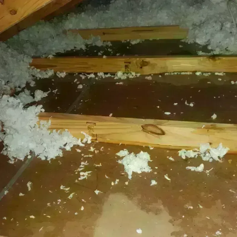 Attic Water Damage in Little Chute, WI