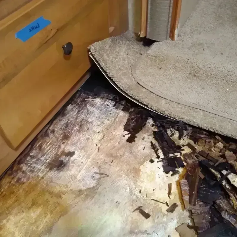 Wood Floor Water Damage in Little Chute, WI